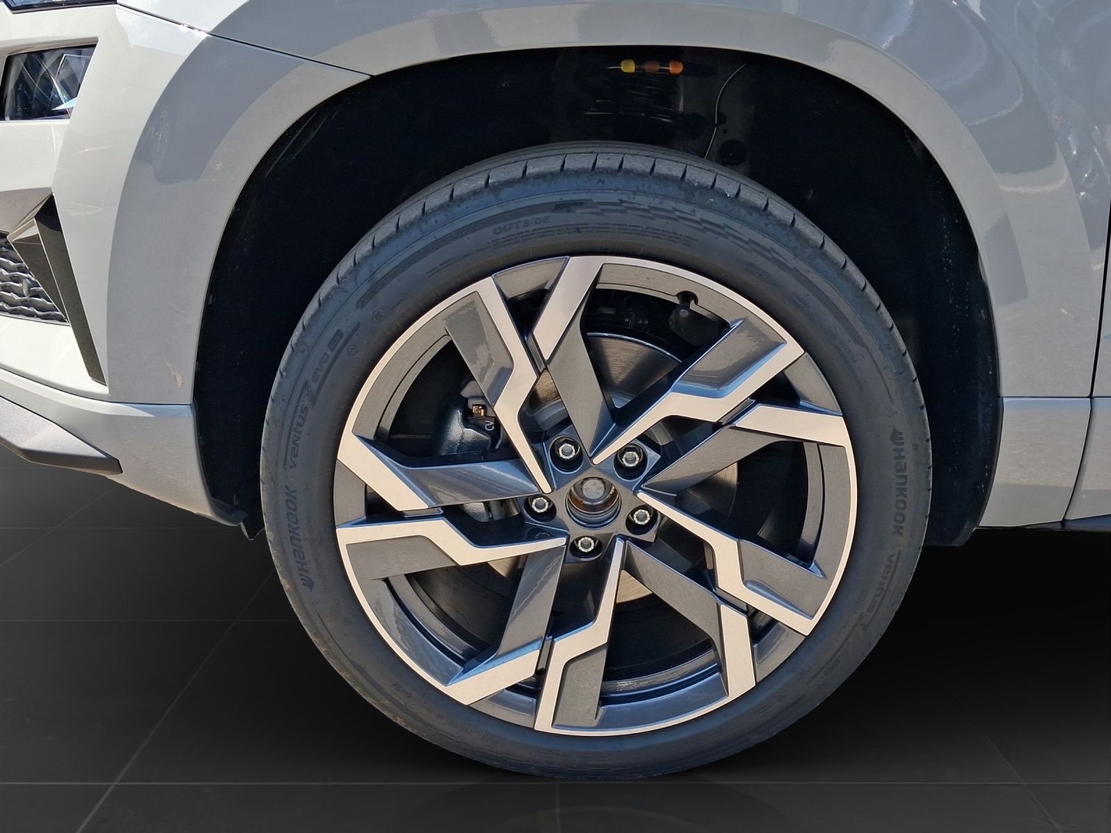 Skoda Karoq 2.0 TSI DSG 4x4 SPORTLINE LM19 LEDER MATRI