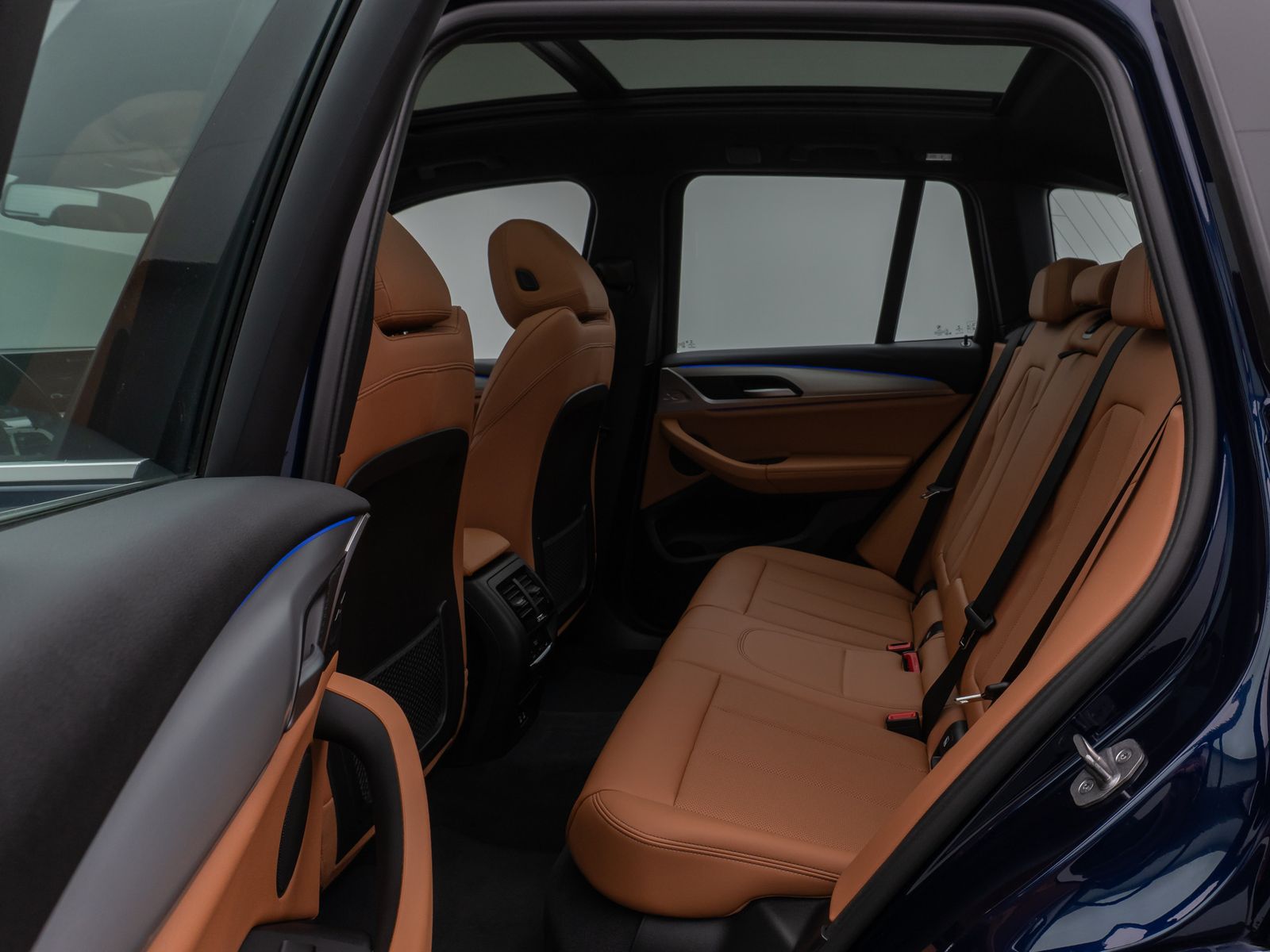 BMW X3 xD30d M Sport Panoram Kamera DAB HiFi AHK 21"