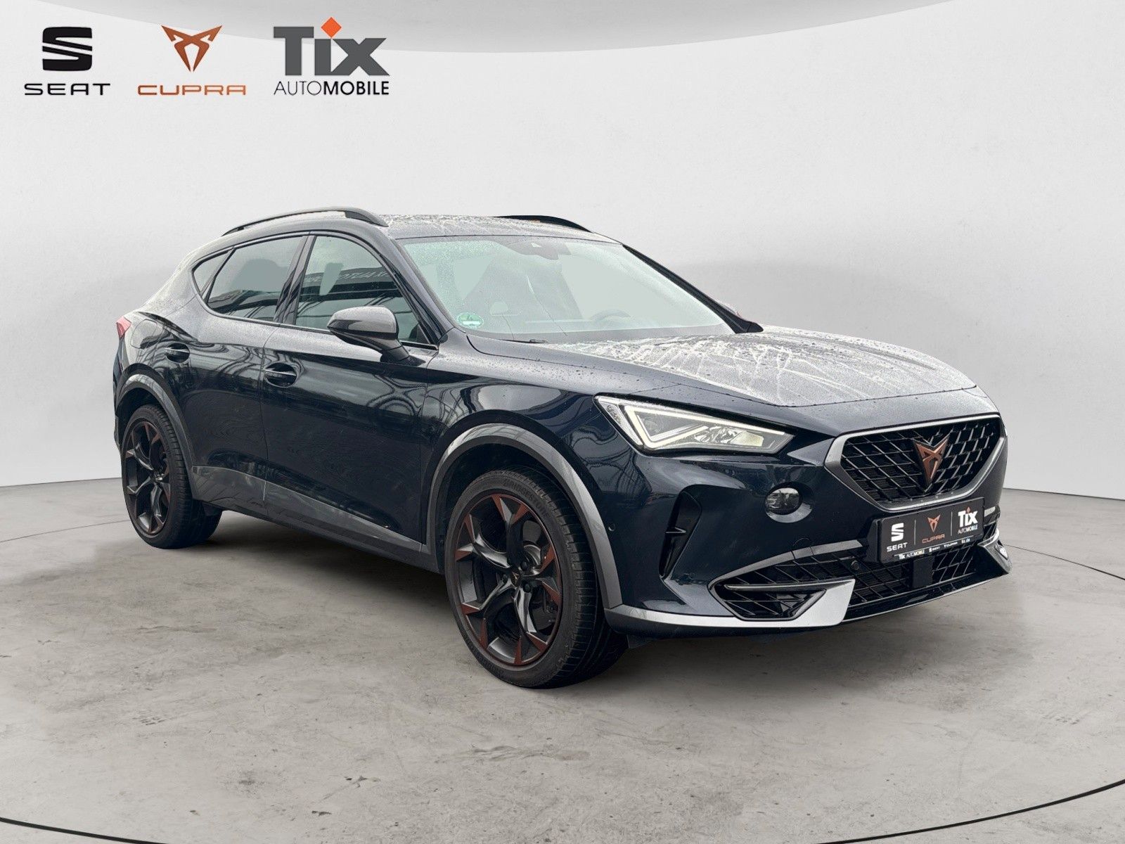 Cupra Formentor VZ 2.0 TSI DSG,Pano,Beats,AHK