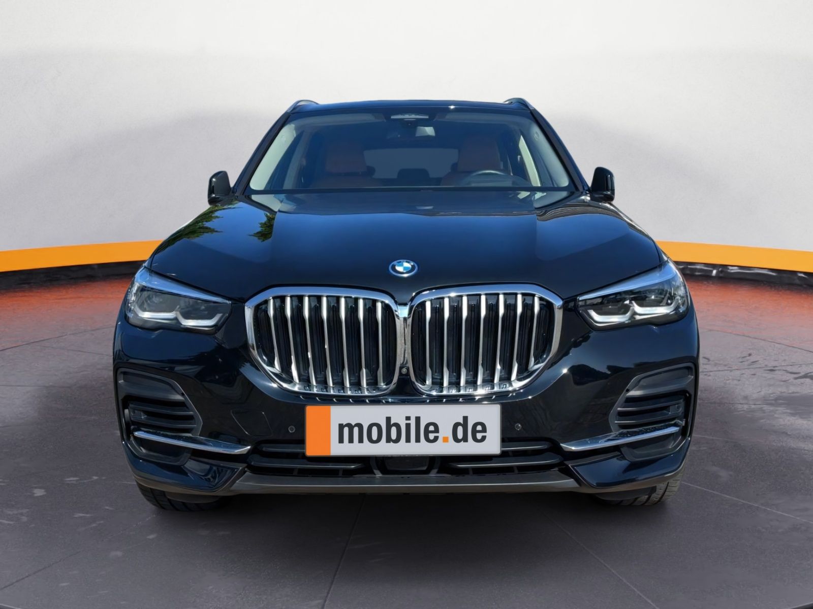 BMW X5 xDrive45e HUD DA Prof HiFi Komf.-Sitze PA Plu