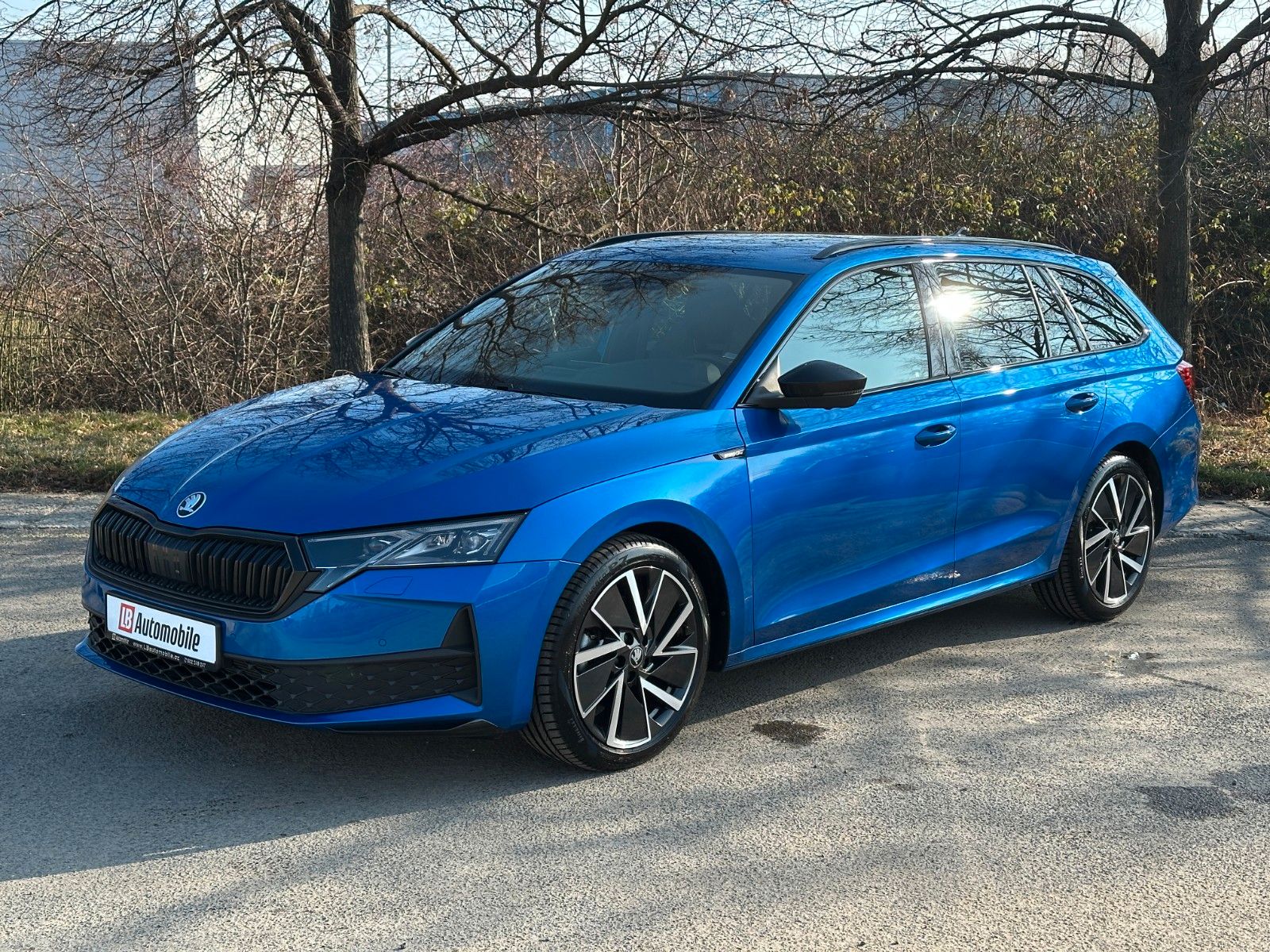 Skoda 2.0TSi 4x4 Sportline NAVI KAMERA eHK LM18"AHK