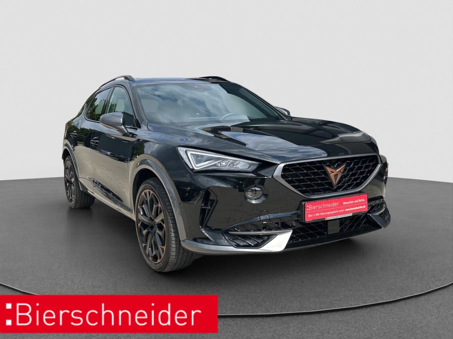 Cupra Formentor 1.4 e-Hybrid DSG VZ ab mtl. 199,- Euro
