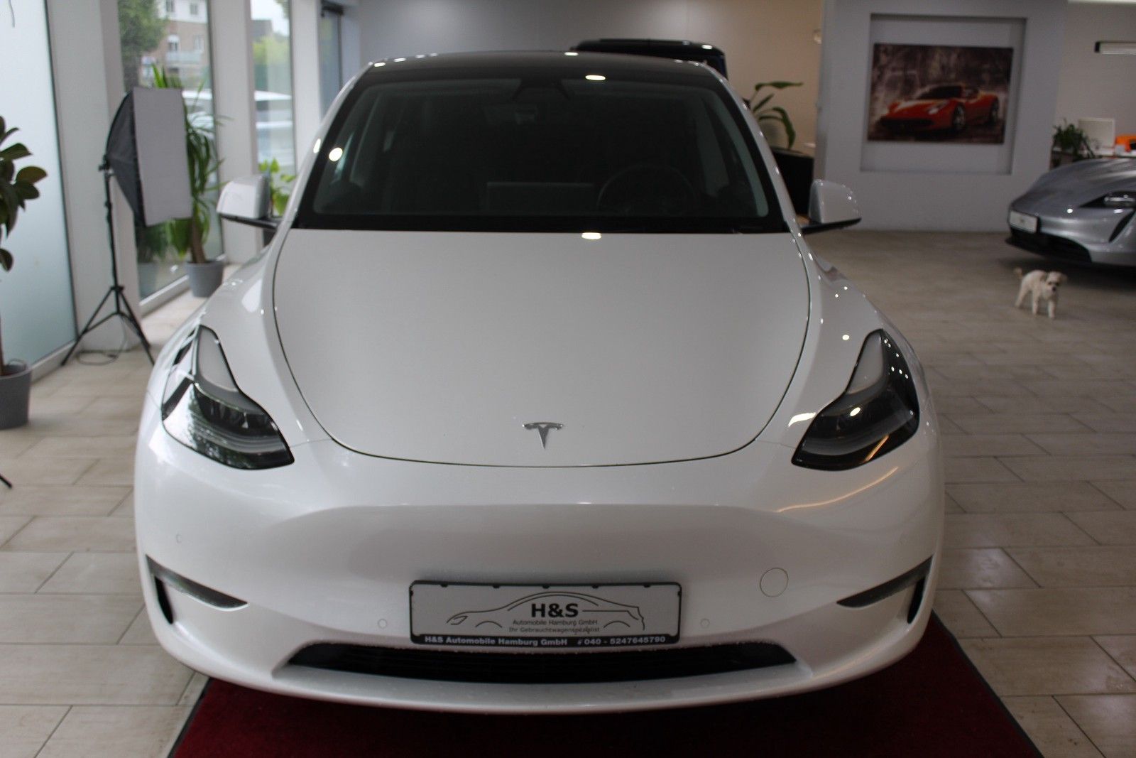 Tesla Model Y Long Range Dual AWD PANORAMA
