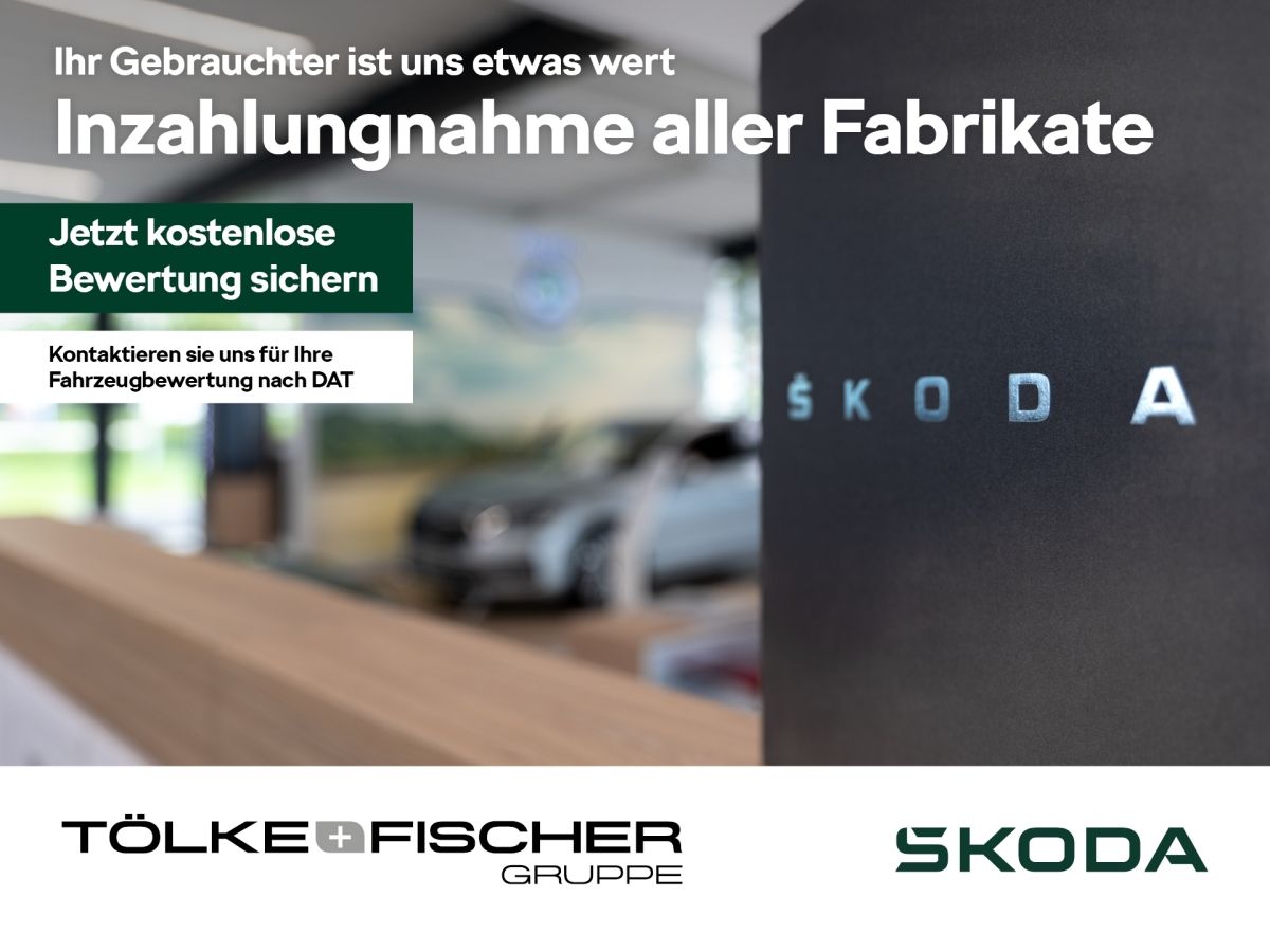 Skoda Kodiaq RS 2.0 TSI DSG 4x4 DCC AHK 360 ACC eHeck
