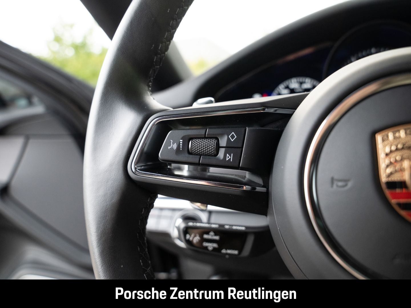 Porsche Panamera 4 E-Hybrid Platinum Edition HA-Lenkung