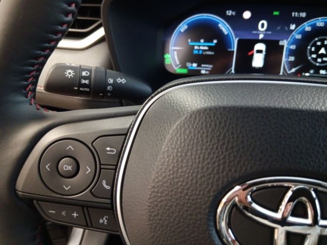 Toyota RAV 4 Plug-in-Hybrid Teamplayer