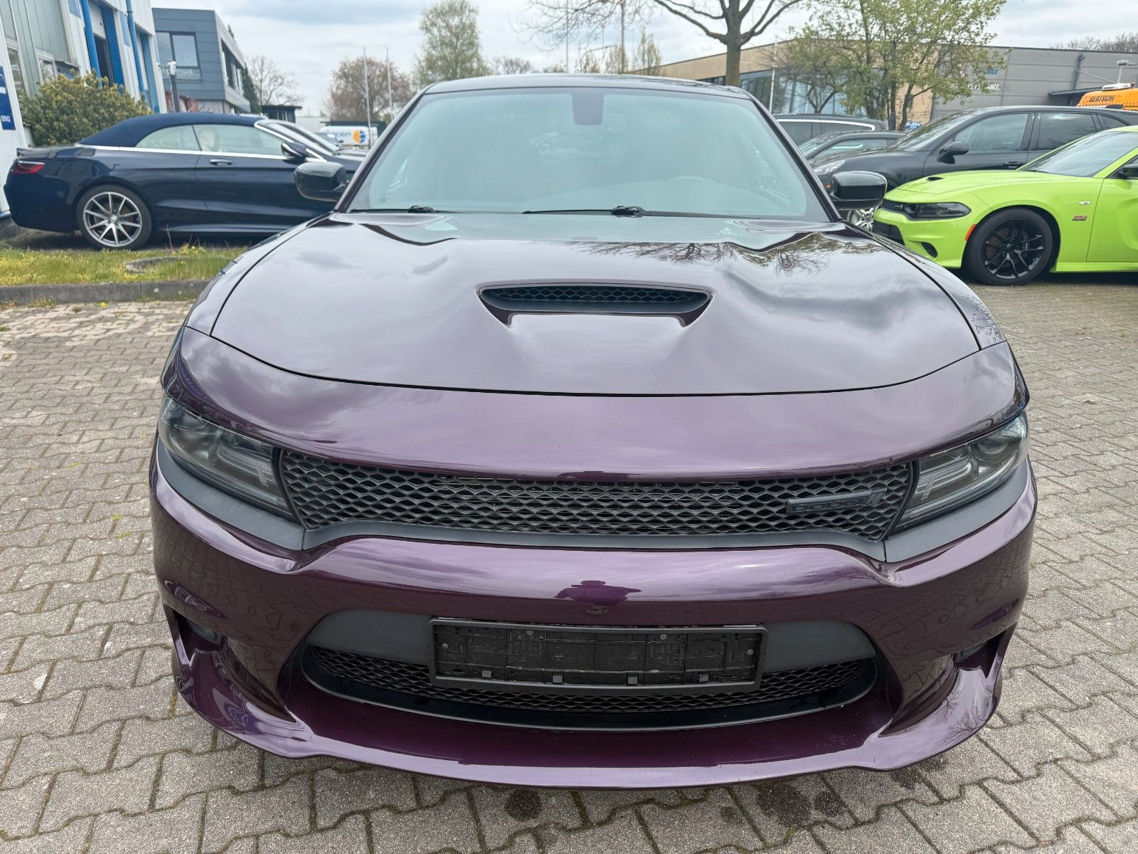 Dodge Lederausstattung,R20,ALPINE