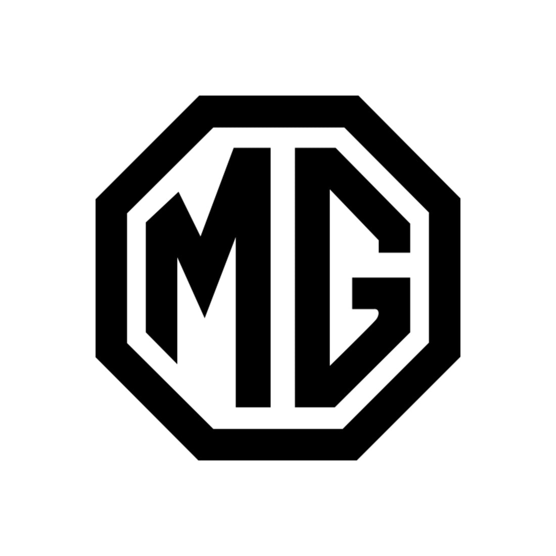 Service MG Motor